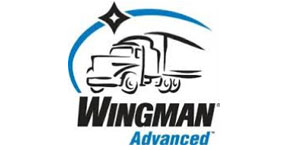 tech-wingman